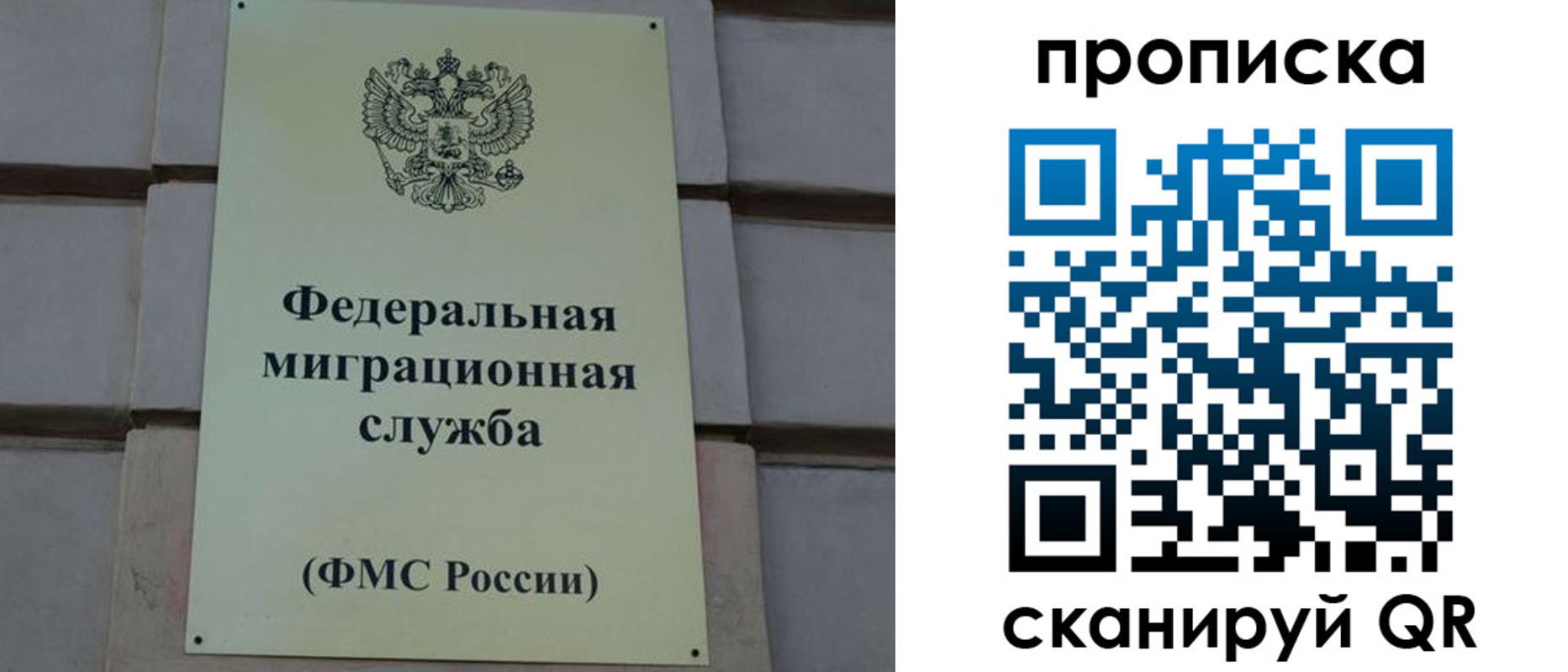 прописка поиск в Верещагино